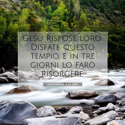 Picture 07 - Giovanni 2:19 RIV - Gesù rispose loro: Disfate questo tempio, e in - Bible Verse Picture