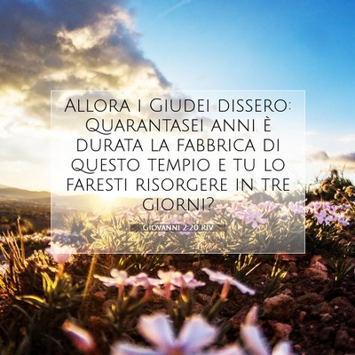 Picture 07 - Giovanni 2:20 RIV - Allora i Giudei dissero: Quarantasei anni è - Bible Verse Picture