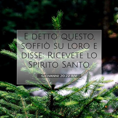 Picture 07 - Giovanni 20:22 RIV - E detto questo, soffiò su loro e disse: Ricevete - Bible Verse Picture