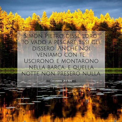 Picture 07 - Giovanni 21:3 RIV - Simon Pietro disse loro: Io vado a pescare. Essi - Bible Verse Picture