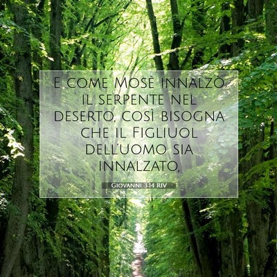 Picture 07 - Giovanni 3:14 RIV - E come Mosè innalzò il serpente nel deserto, - Bible Verse Picture