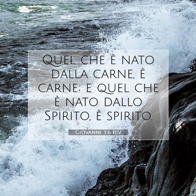 Picture 07 - Giovanni 3:6 RIV - Quel che è nato dalla carne, è carne; e quel - Bible Verse Picture