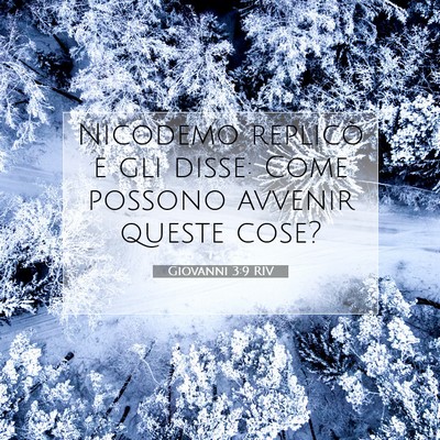 Picture 07 - Giovanni 3:9 RIV - Nicodemo replicò e gli disse: Come possono - Bible Verse Picture