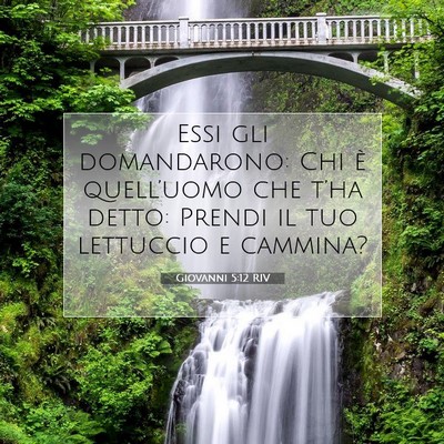 Picture 07 - Giovanni 5:12 RIV - Essi gli domandarono: Chi è quell’uomo che - Bible Verse Picture