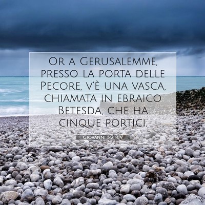 Picture 07 - Giovanni 5:2 RIV - Or a Gerusalemme, presso la porta delle Pecore, - Bible Verse Picture