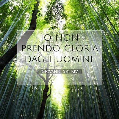 Picture 07 - Giovanni 5:41 RIV - Io non prendo gloria dagli - Bible Verse Picture