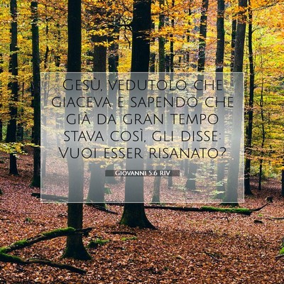 Picture 07 - Giovanni 5:6 RIV - Gesù, vedutolo che giaceva e sapendo che già da - Bible Verse Picture