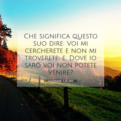 Picture 07 - Giovanni 7:36 RIV - Che significa questo suo dire: Voi mi cercherete - Bible Verse Picture