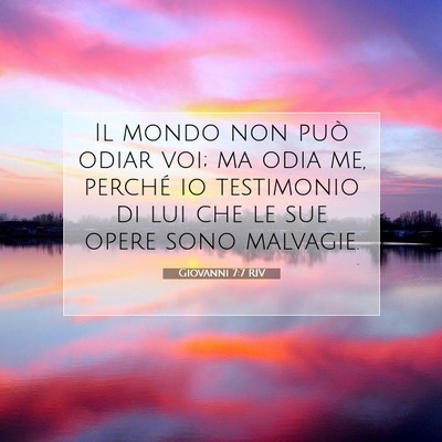 Picture 07 - Giovanni 7:7 RIV - Il mondo non può odiar voi; ma odia me, perché - Bible Verse Picture