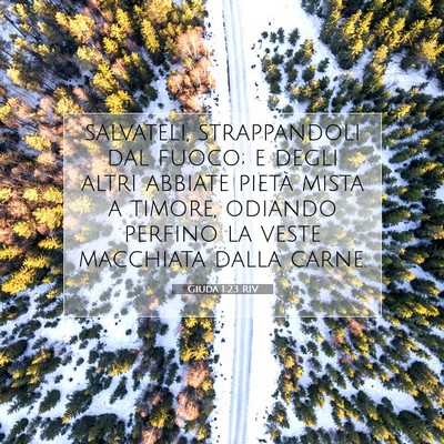 Picture 07 - Giuda 1:23 RIV - salvateli, strappandoli dal fuoco; e degli altri - Bible Verse Picture