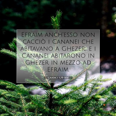 Picture 07 - Giudici 1:29 RIV - Efraim anch’esso non cacciò i Cananei che - Bible Verse Picture