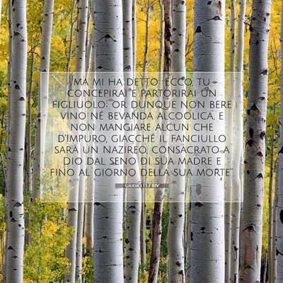 Picture 07 - Giudici 13:7 RIV - ma mi ha detto: Ecco, tu concepirai e partorirai - Bible Verse Picture