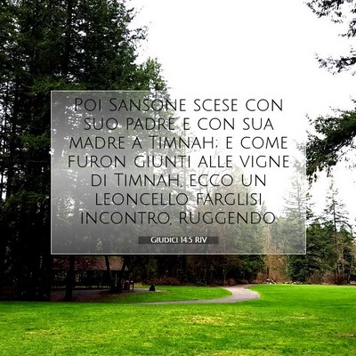 Picture 07 - Giudici 14:5 RIV - Poi Sansone scese con suo padre e con sua madre a - Bible Verse Picture