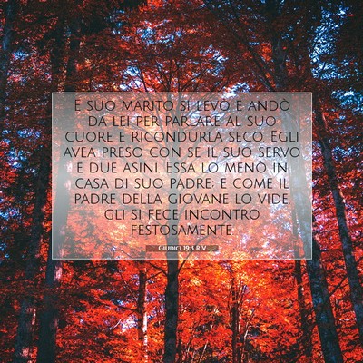 Picture 07 - Giudici 19:3 RIV - E suo marito si levò e andò da lei per parlare - Bible Verse Picture