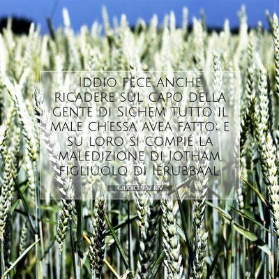 Picture 07 - Giudici 9:57 RIV - Iddio fece anche ricadere sul capo della gente di - Bible Verse Picture