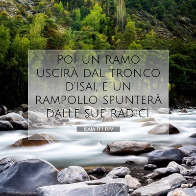 Picture 07 - Isaia 11:1 RIV - Poi un ramo uscirà dal tronco d’Isai, e un - Bible Verse Picture