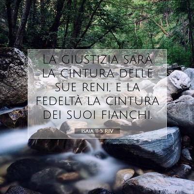 Picture 07 - Isaia 11:5 RIV - La giustizia sarà la cintura delle sue reni, e - Bible Verse Picture