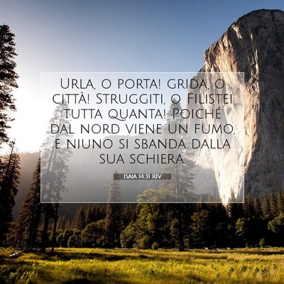 Picture 07 - Isaia 14:31 RIV - Urla, o porta! grida, o città! Struggiti, o - Bible Verse Picture