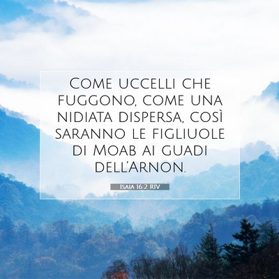 Picture 07 - Isaia 16:2 RIV - Come uccelli che fuggono, come una nidiata - Bible Verse Picture