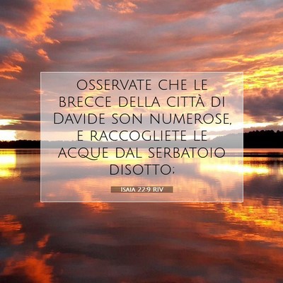 Picture 07 - Isaia 22:9 RIV - osservate che le brecce della città di Davide - Bible Verse Picture