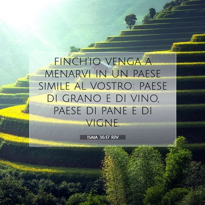 Picture 07 - Isaia 36:17 RIV - finch’io venga a menarvi in un paese simile al - Bible Verse Picture