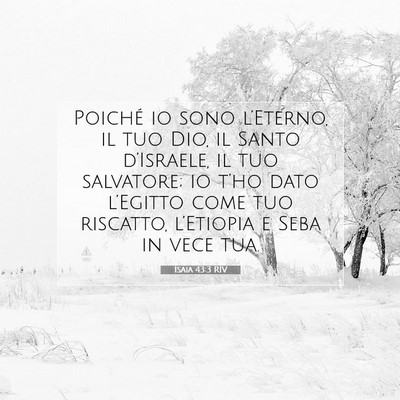 Picture 07 - Isaia 43:3 RIV - Poiché io sono l’Eterno, il tuo Dio, il Santo - Bible Verse Picture