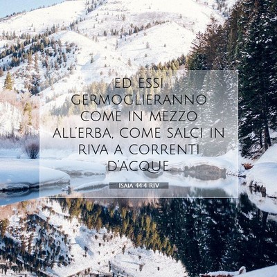 Picture 07 - Isaia 44:4 RIV - ed essi germoglieranno come in mezzo all’erba, - Bible Verse Picture