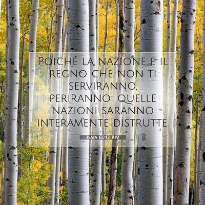 Picture 07 - Isaia 60:12 RIV - Poiché la nazione e il regno che non ti - Bible Verse Picture