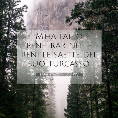 Picture 07 - Lamentazioni 3:13 RIV - M’ha fatto penetrar nelle reni le saette del - Bible Verse Picture