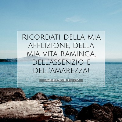 Picture 07 - Lamentazioni 3:19 RIV - Ricordati della mia afflizione, della mia vita - Bible Verse Picture