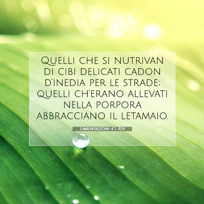 Picture 07 - Lamentazioni 4:5 RIV - Quelli che si nutrivan di cibi delicati cadon - Bible Verse Picture