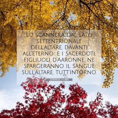 Picture 07 - Levitico 1:11 RIV - Lo scannerà dal lato settentrionale - Bible Verse Picture