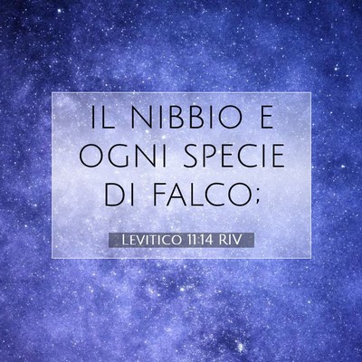 Picture 07 - Levitico 11:14 RIV - il nibbio e ogni specie di - Bible Verse Picture