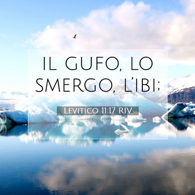 Picture 07 - Levitico 11:17 RIV - il gufo, lo smergo, - Bible Verse Picture