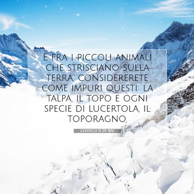 Picture 07 - Levitico 11:29 RIV - E fra i piccoli animali che strisciano sulla - Bible Verse Picture