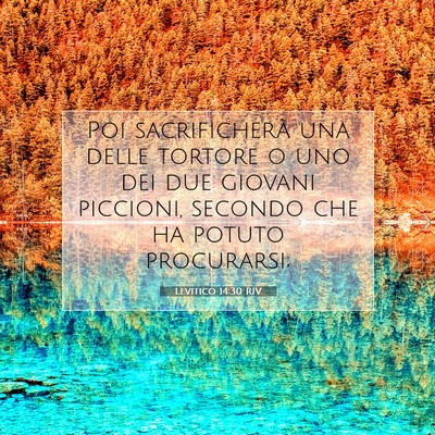 Picture 07 - Levitico 14:30 RIV - Poi sacrificherà una delle tortore o uno dei due - Bible Verse Picture