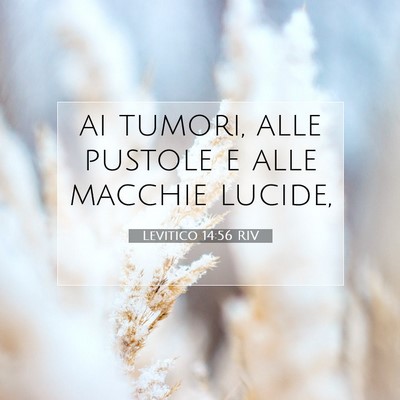 Picture 07 - Levitico 14:56 RIV - ai tumori, alle pustole e alle macchie - Bible Verse Picture