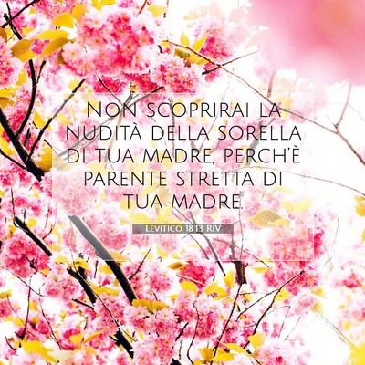 Picture 07 - Levitico 18:13 RIV - Non scoprirai la nudità della sorella di tua - Bible Verse Picture