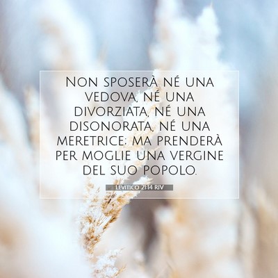 Picture 07 - Levitico 21:14 RIV - Non sposerà né una vedova, né una divorziata, - Bible Verse Picture