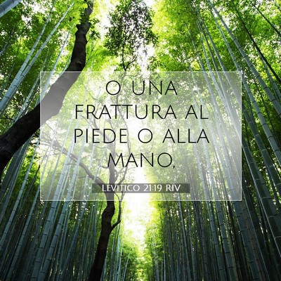Picture 07 - Levitico 21:19 RIV - o una frattura al piede o alla - Bible Verse Picture