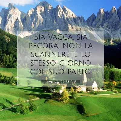 Picture 07 - Levitico 22:28 RIV - Sia vacca, sia pecora, non la scannerete lo - Bible Verse Picture