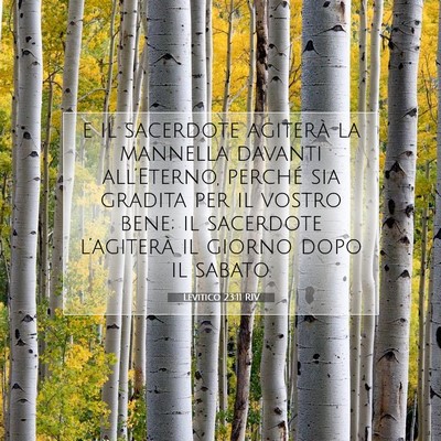 Picture 07 - Levitico 23:11 RIV - e il sacerdote agiterà la mannella davanti - Bible Verse Picture