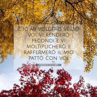 Picture 07 - Levitico 26:9 RIV - E io mi volgerò verso voi, vi renderò fecondi e - Bible Verse Picture