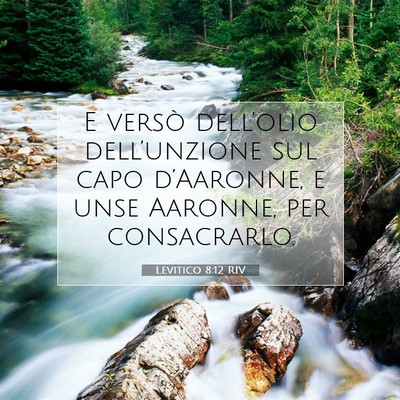 Picture 07 - Levitico 8:12 RIV - E versò dell’olio dell’unzione sul capo - Bible Verse Picture