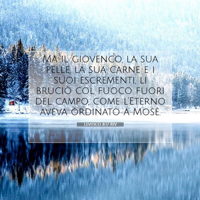 Picture 07 - Levitico 8:17 RIV - Ma il giovenco, la sua pelle, la sua carne e i - Bible Verse Picture