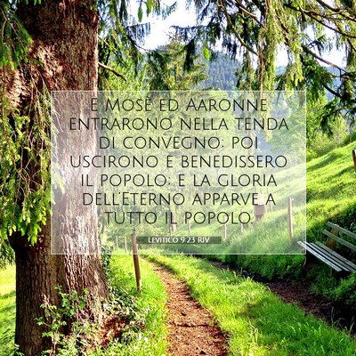 Picture 07 - Levitico 9:23 RIV - E Mosè ed Aaronne entrarono nella tenda di - Bible Verse Picture