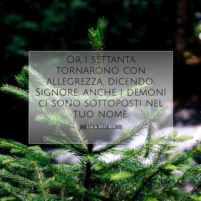 Picture 07 - Luca 10:17 RIV - Or i settanta tornarono con allegrezza, dicendo: - Bible Verse Picture