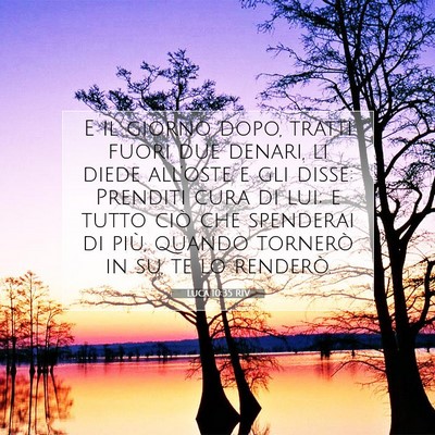 Picture 07 - Luca 10:35 RIV - E il giorno dopo, tratti fuori due denari, li - Bible Verse Picture