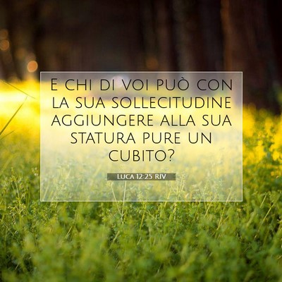 Picture 07 - Luca 12:25 RIV - E chi di voi può con la sua sollecitudine - Bible Verse Picture