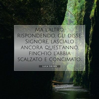 Picture 07 - Luca 13:8 RIV - Ma l’altro, rispondendo, gli disse: Signore, - Bible Verse Picture